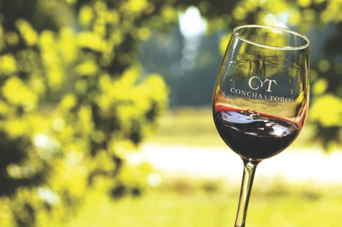 CONCHA Y TORO VINEYARD