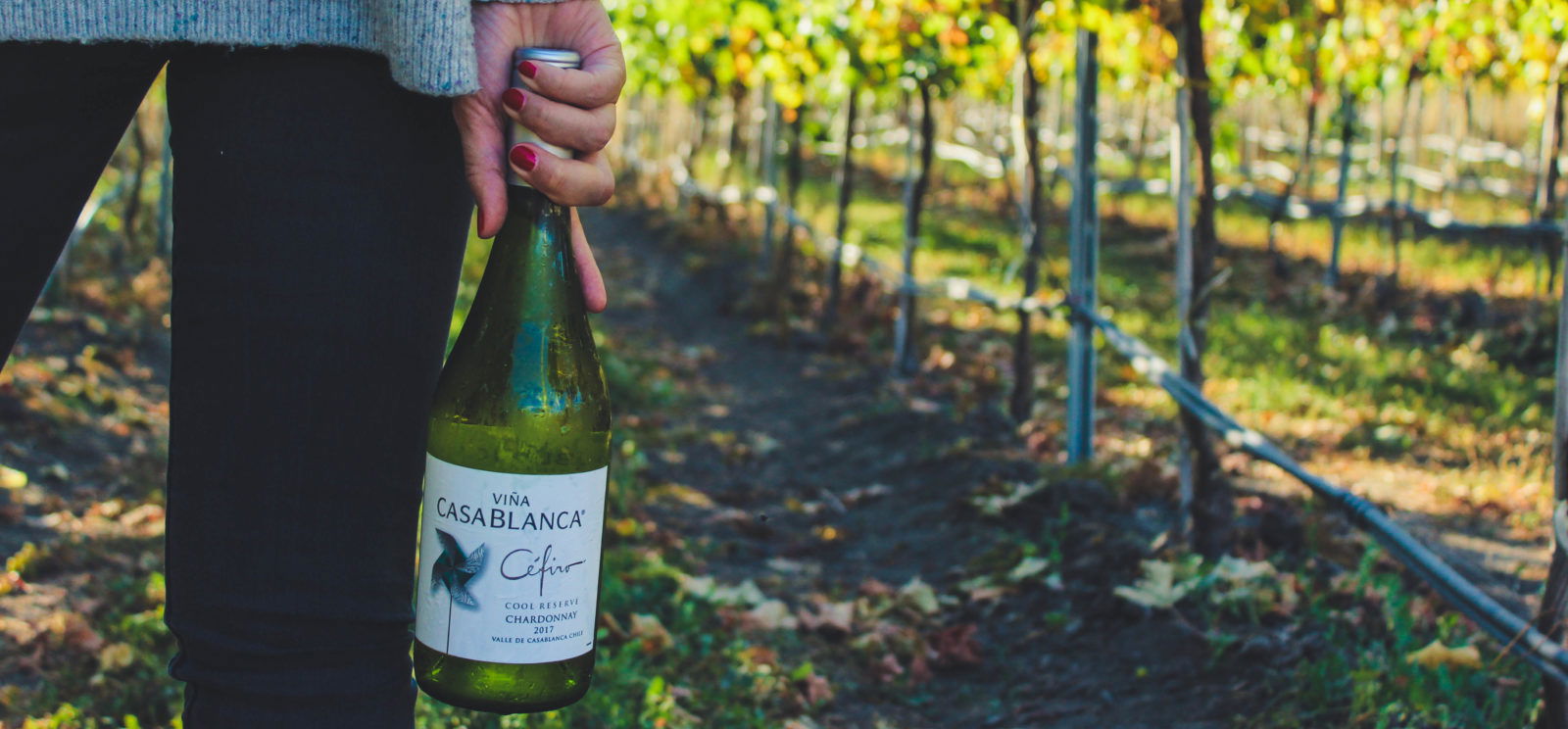 WHITE HOUSE VINEYARD