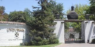 UNDURRAGA VINEYARD