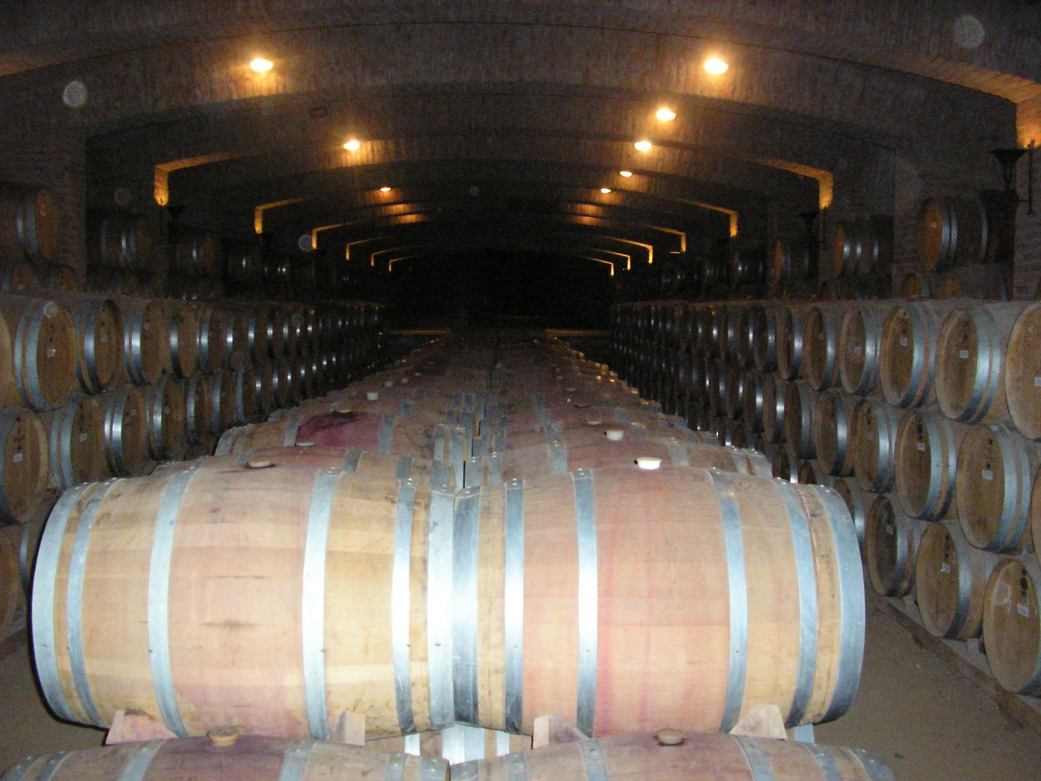 UNDURRAGA VINEYARD