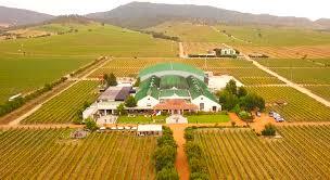 HOUSES OF THE FOREST VINEYARD