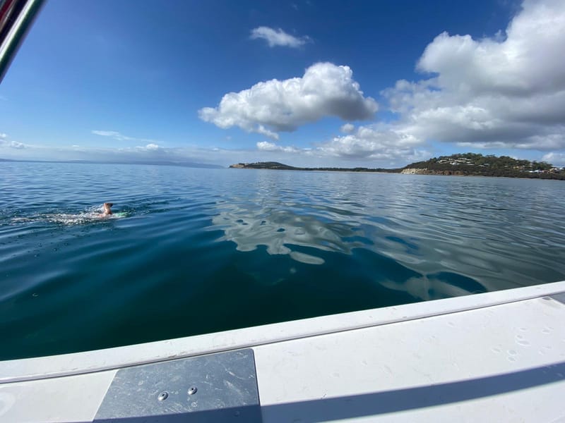 Frederick Henry Bay big swim 12.3km