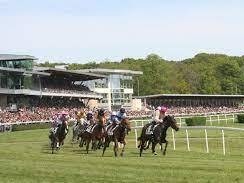Courses hippiques
