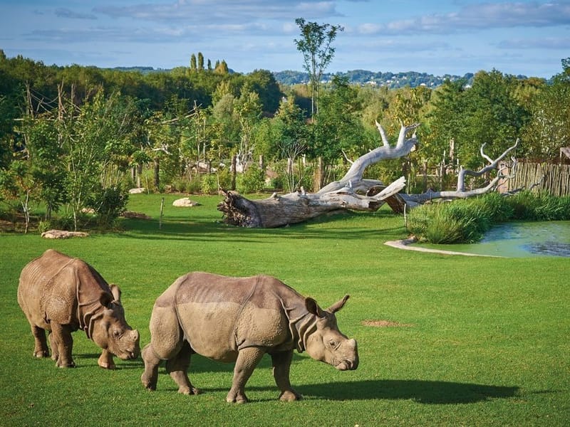 Zoo de la flèche