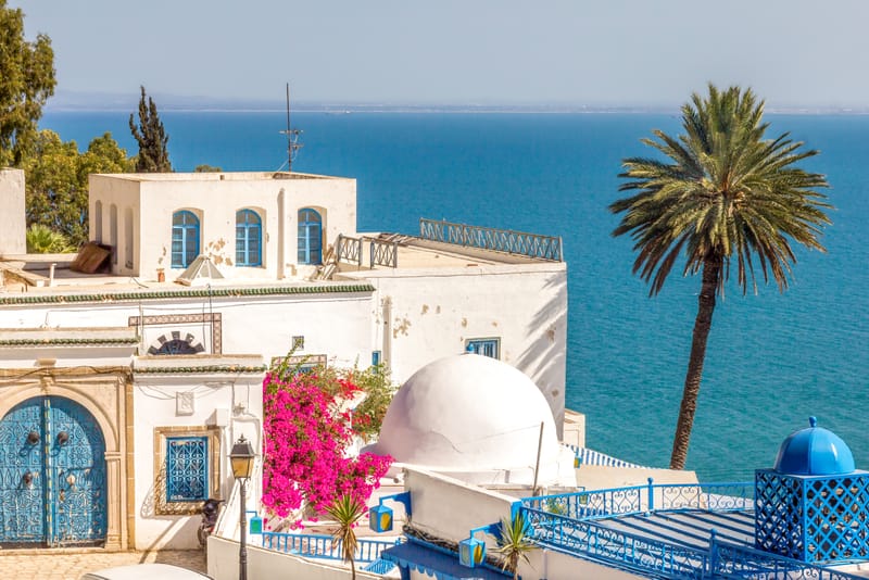 TUNISIAN ESCAPE: 14-21 May 2026