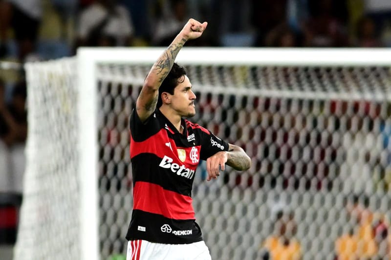 Pedro marca e garante classificação do Flamengo na Libertadores
