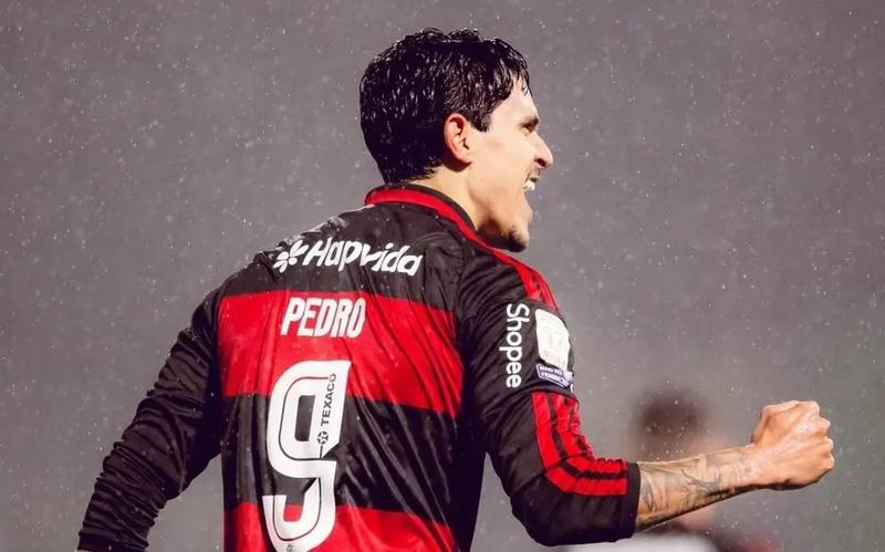 Com show de Pedro, artilheiro do Brasileirão, Flamengo goleia a Chapecoense