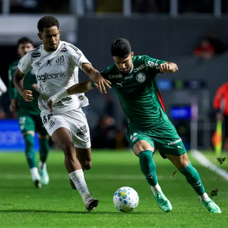 Palmeiras empata com Santos, estaciona em 2º e pode ver Fla abrir vantagem