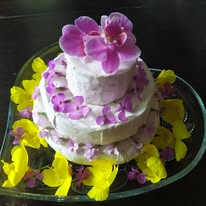 Renaissance / Medieval Wedding Catering