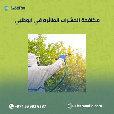 مكافحة الحشرات الطائرة في أبو ظبي | خدمات متخصصة من شركة الربوة
