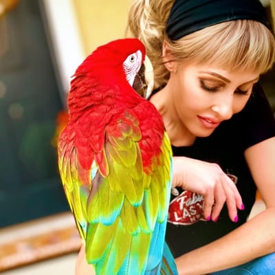 Surrender, FOSTER, ADOPT, SPONSOR, &amp; MORE! image