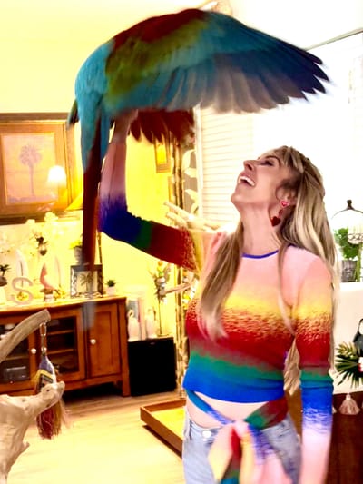 Surrender, FOSTER, ADOPT, SPONSOR, &amp; MORE! image