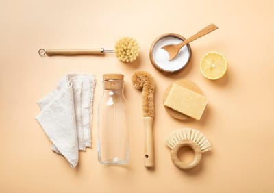 One Good Thing: A Successful Eco Friendly Cleaning Kit