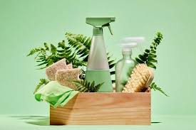 What Are The Key Benefits Of Going Green With Your Cleaning Routine?
