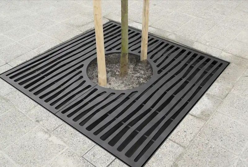 شبك الأشجار