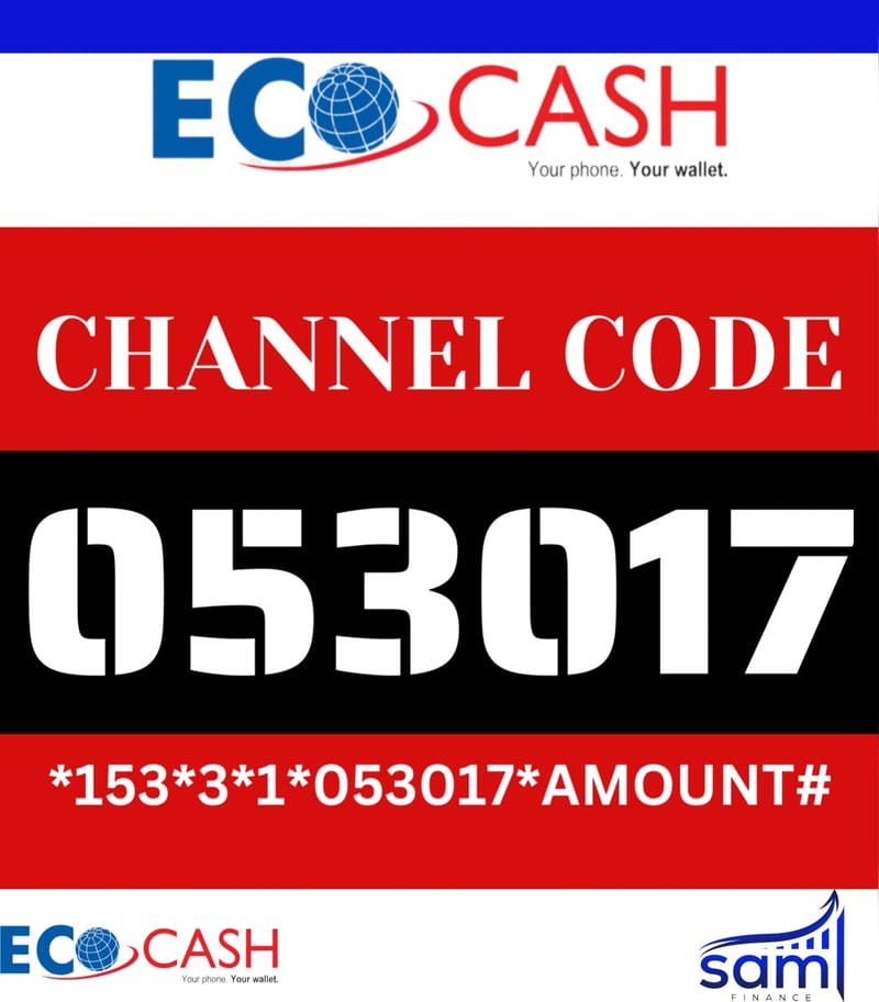 Ecocash Transfers