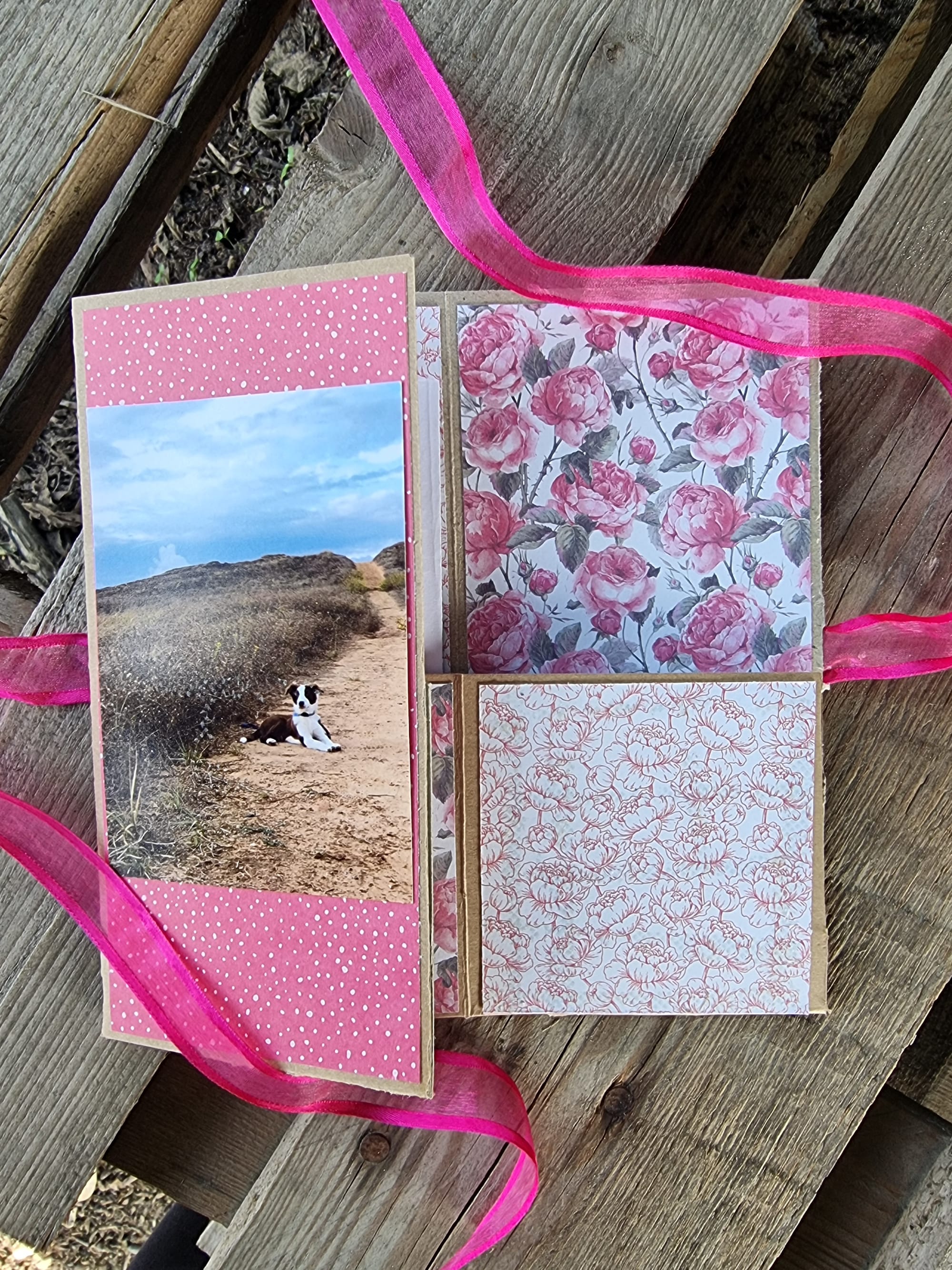 פולדר צבעוני