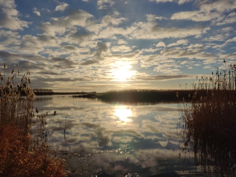 Alles im Fluss - Startschuss