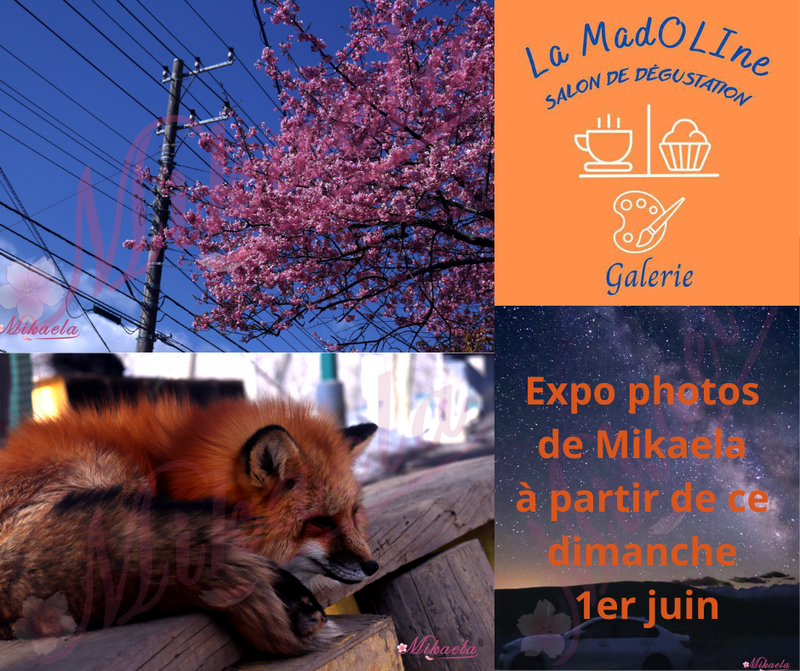 Exposition Photos de Mikaela