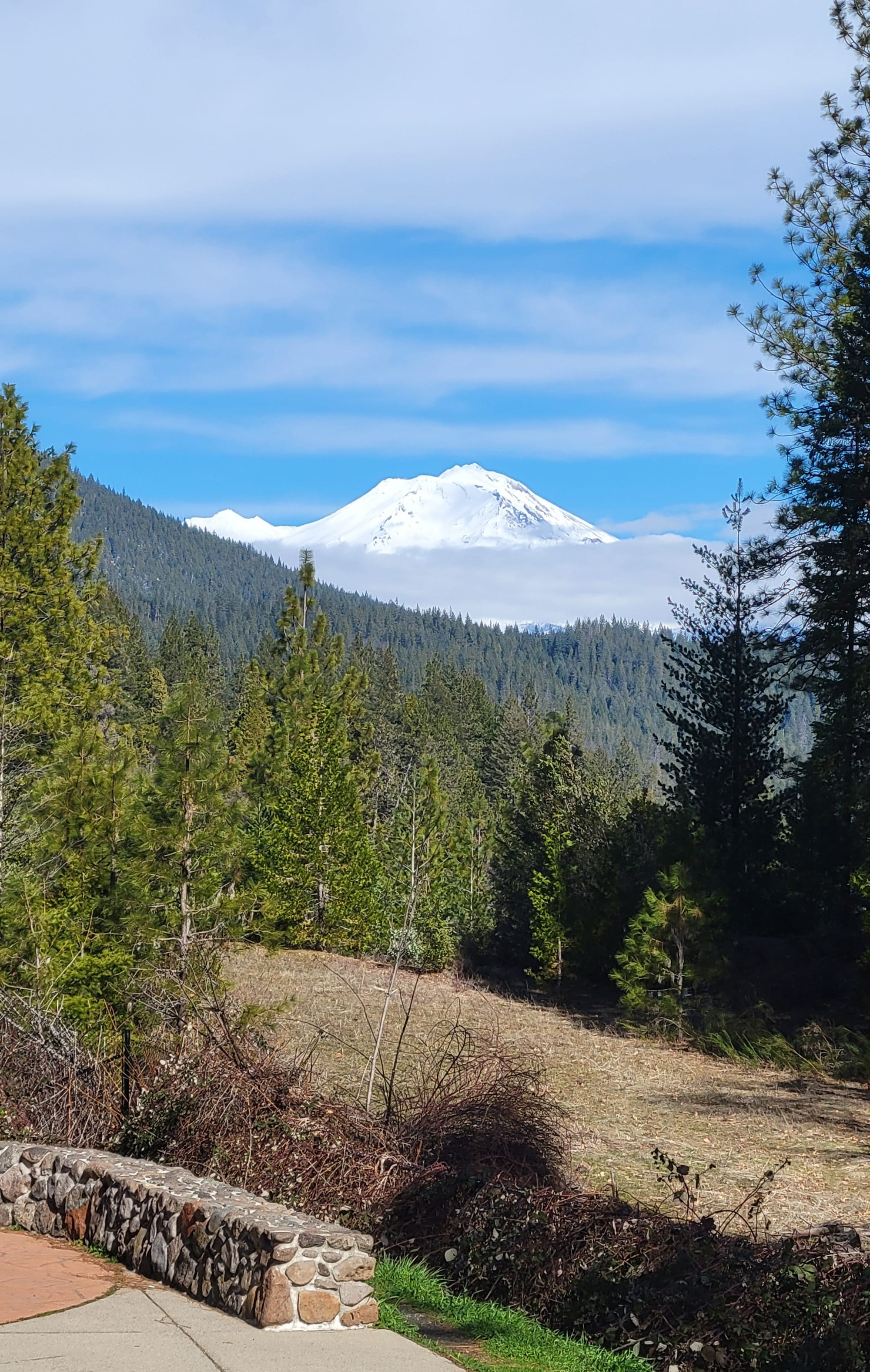 Photos of Tacoma and the surrounding area