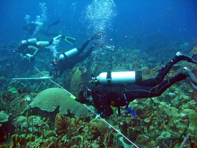 Coral Reef Science & Restoration