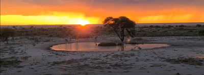 Company Profile image