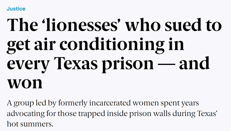 In the News