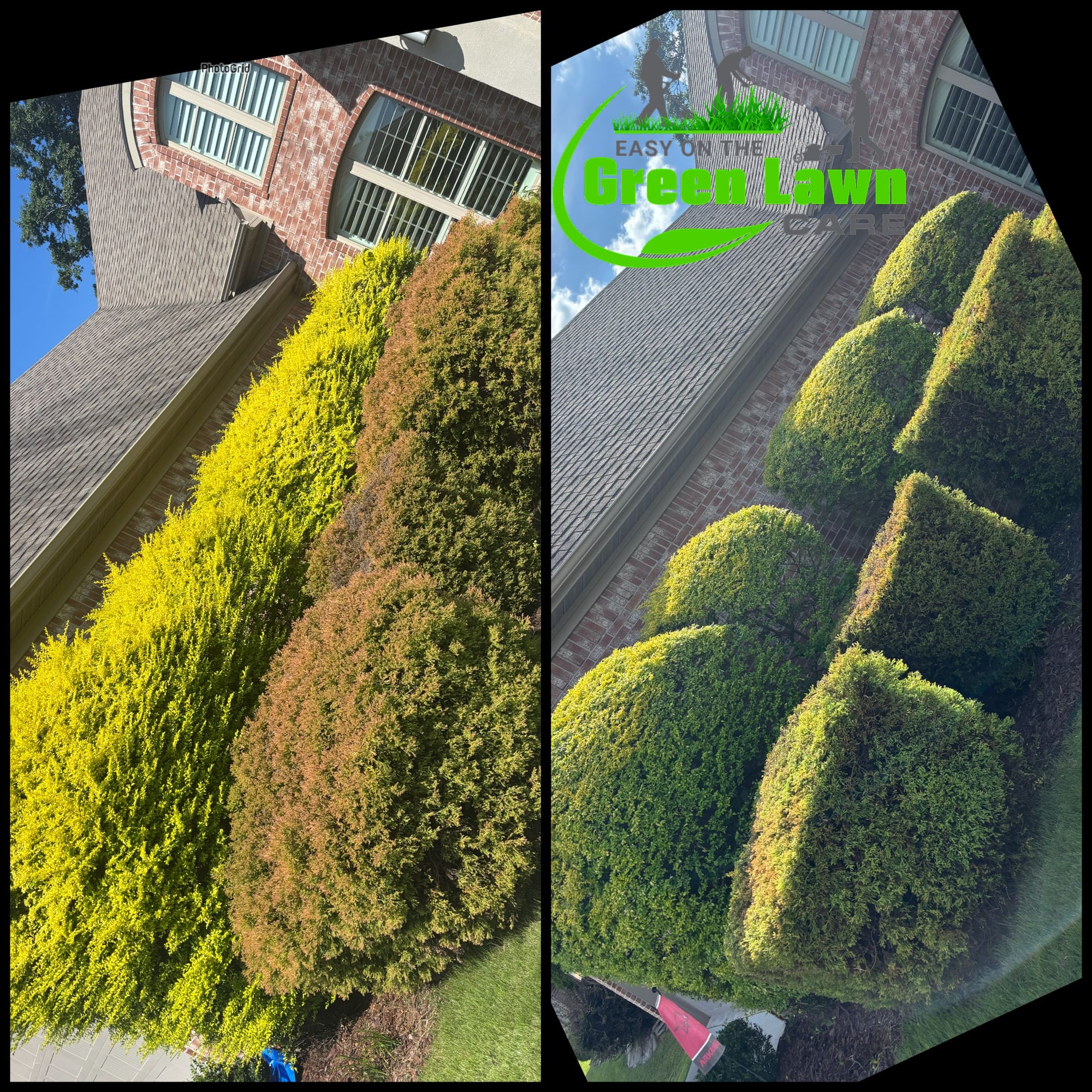 Overgrown bushes trimmed