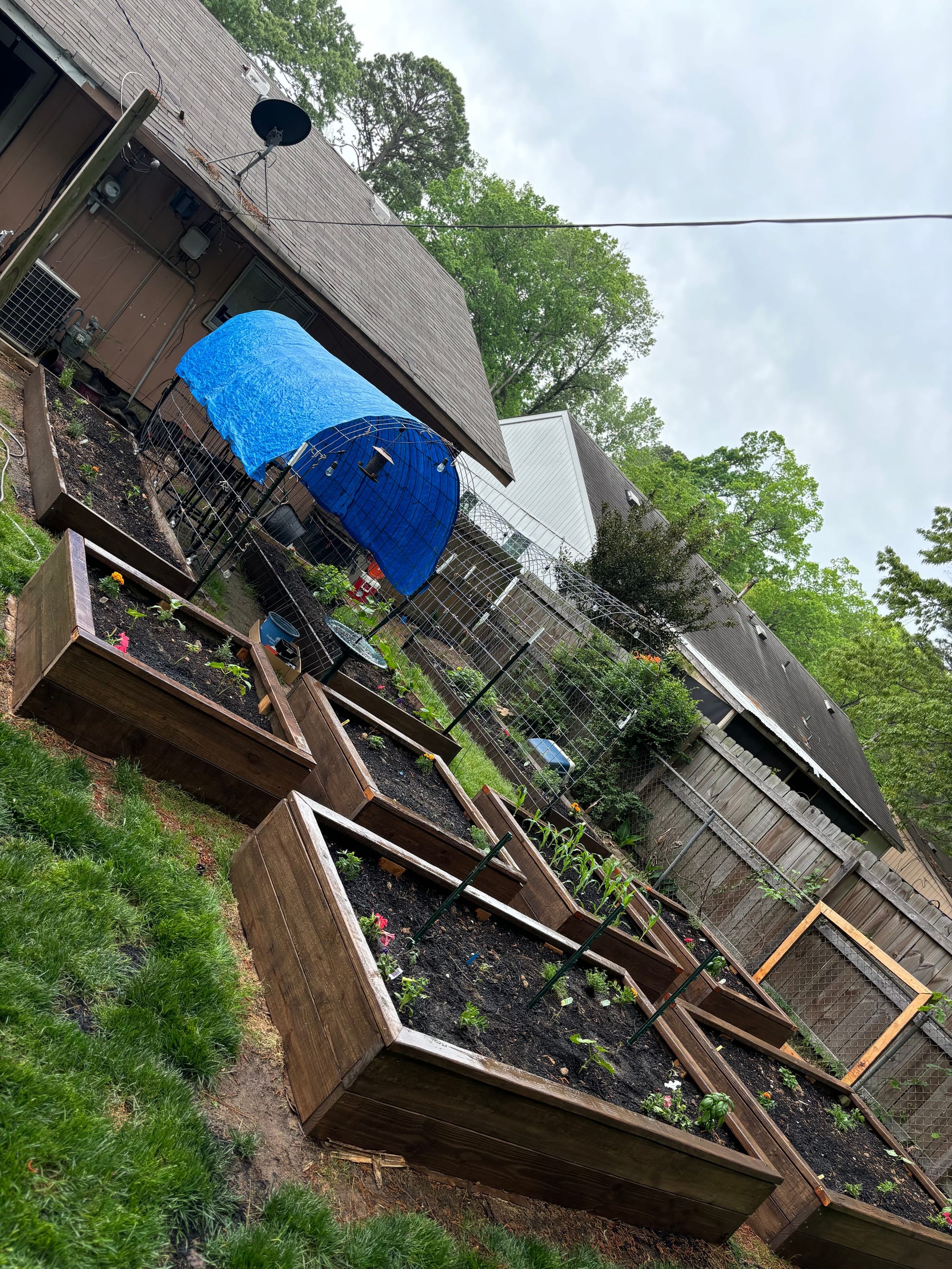 Garden Design With Stained Beds
