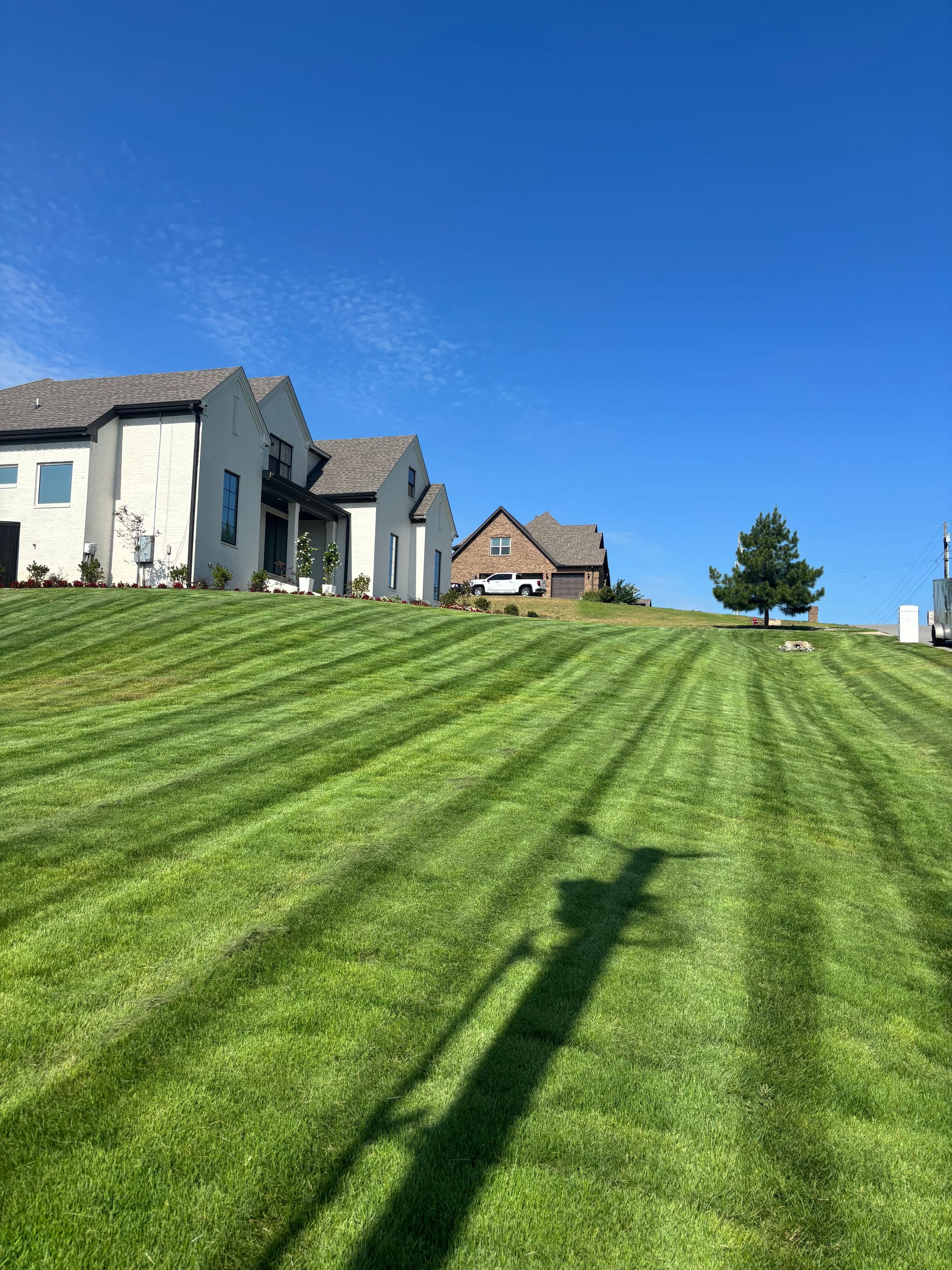 Newly Sodded Zoysia First Cut