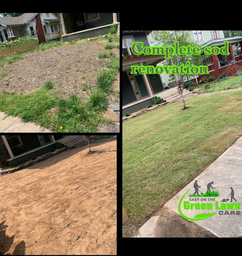 Grass Sod Installation