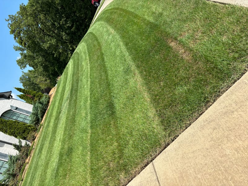 Routined Lawn Maintenance