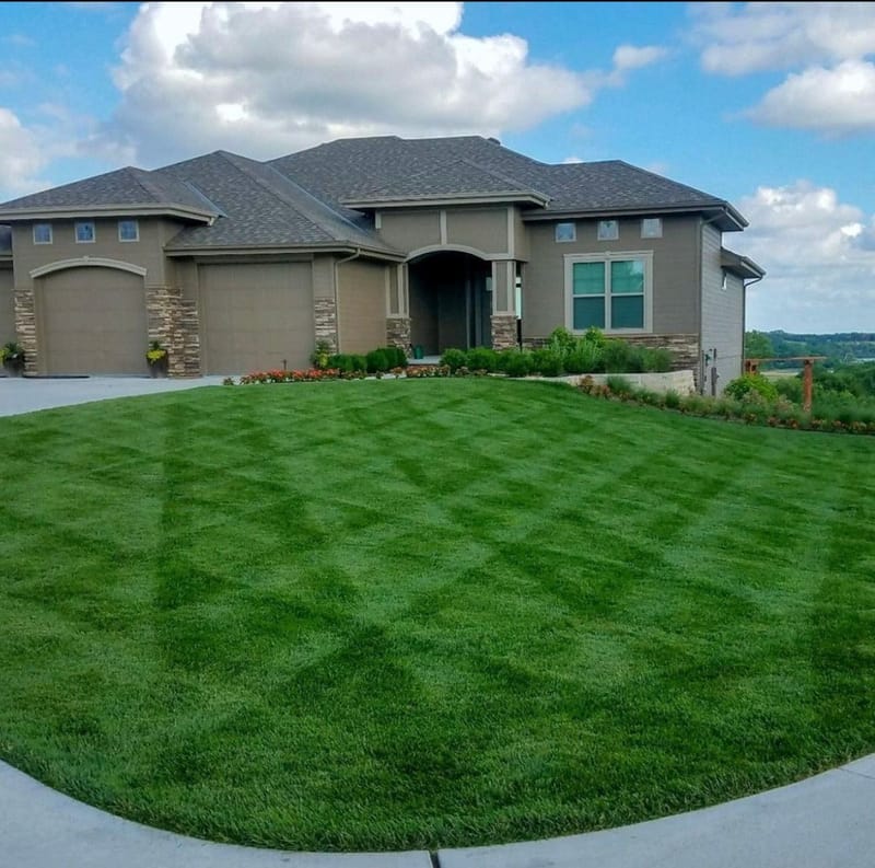 🌱 Lawn Care Programs