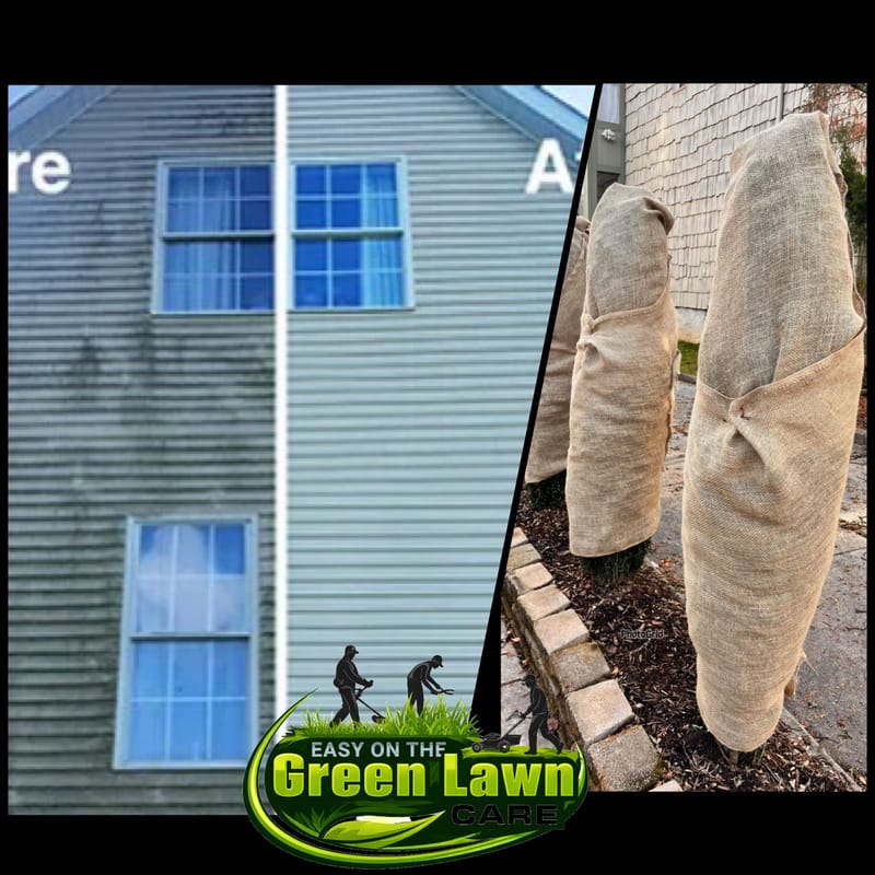 ❄️ Winter Lawn & Landscape Programs