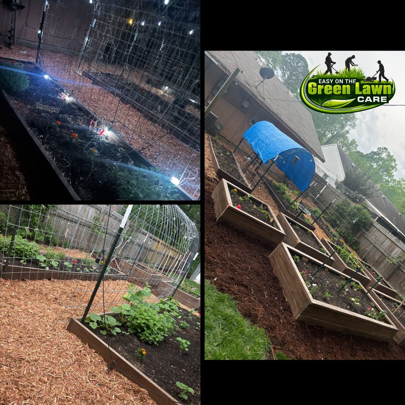 🥕 Vegetable Garden Design Programs