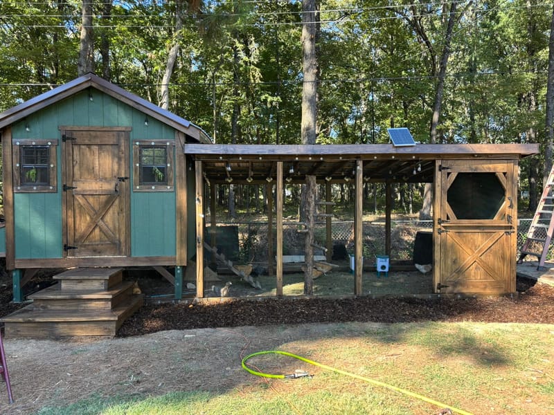 Custom Chicken Coops & Homestead Builds