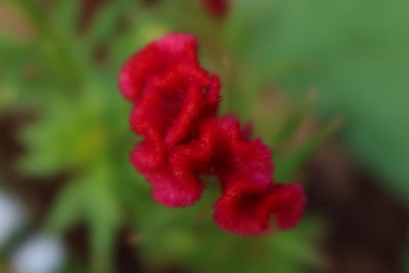 פריים בצילום