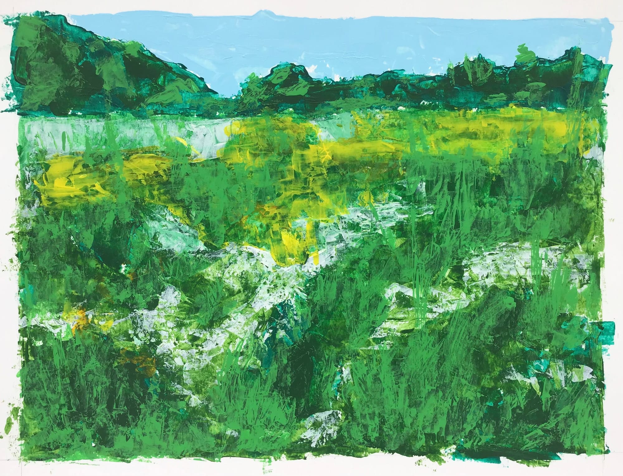 SWAMP LOCKS MEADOW