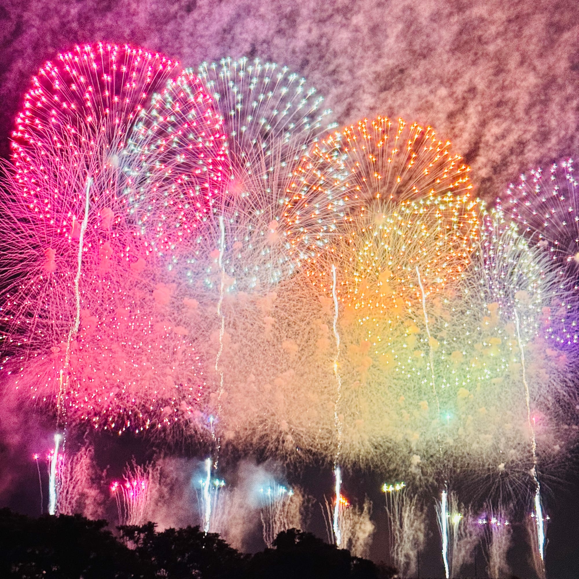 長岡花火大会🎆