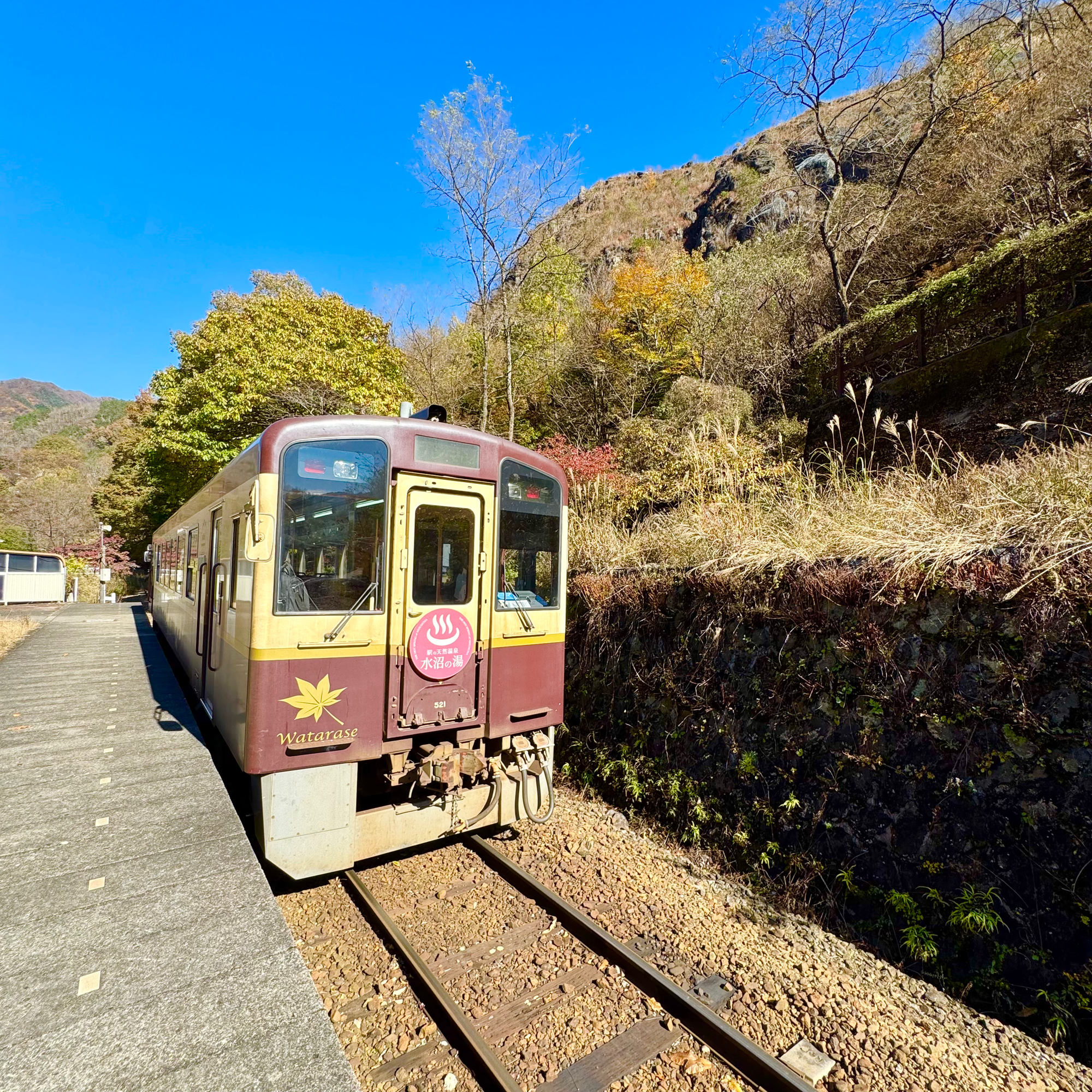 わたらせ渓谷鉄道🚃