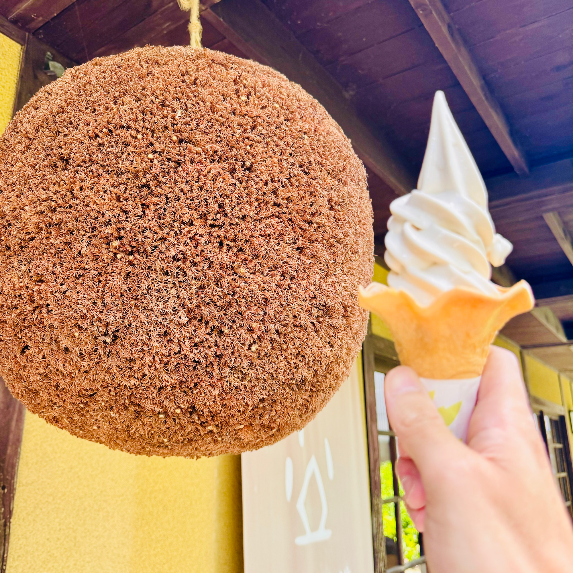 黒土田 酒粕ソフトクリーム🍦