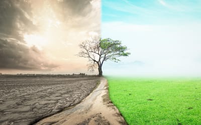 Our environment