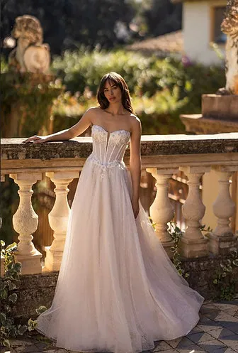 COLLECTION 2025/2026