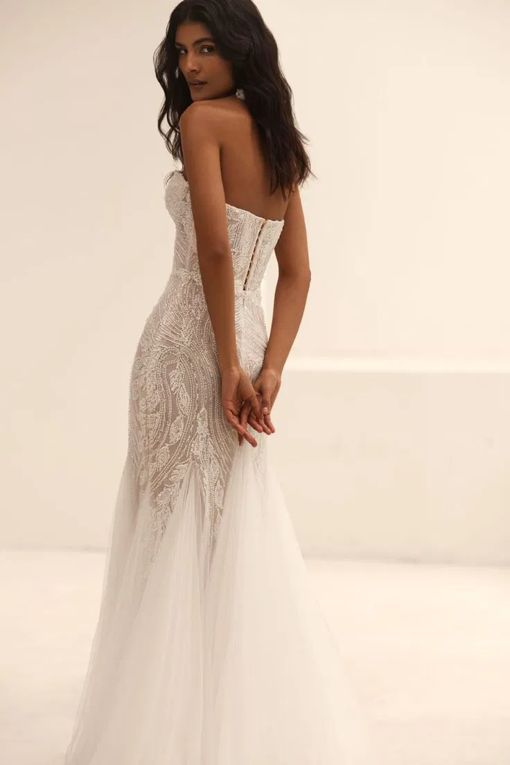 COLLECTION 2025/2026