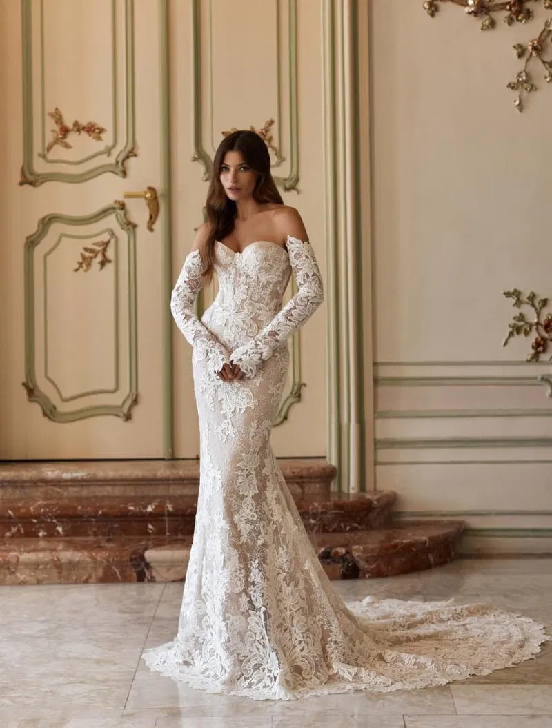 COLLECTION 2025/2026