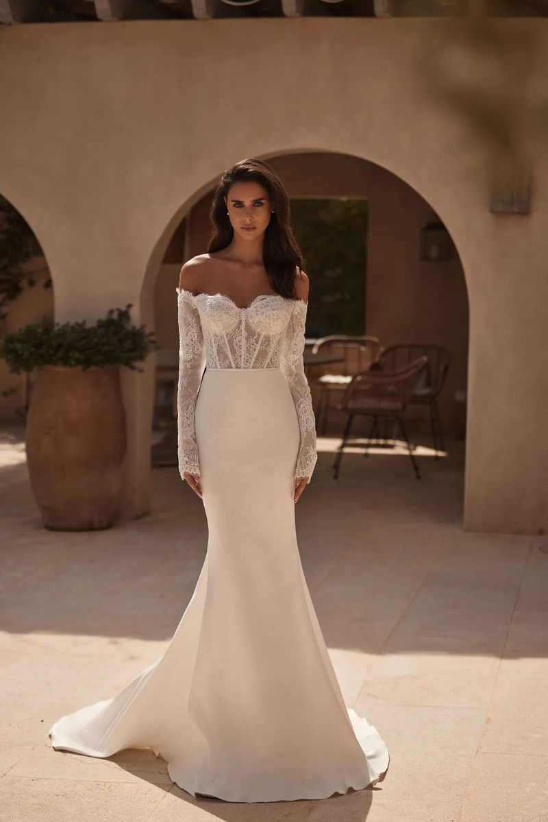 COLLECTION 2025/2026