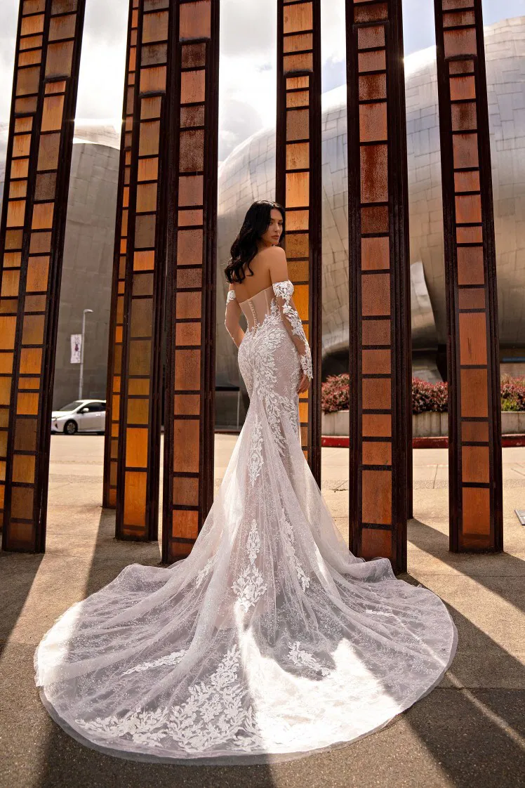 COLLECTION 2025/2026