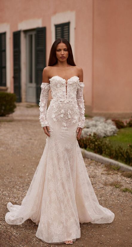 COLLECTION 2025/2026