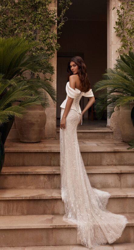 COLLECTION 2025/2026