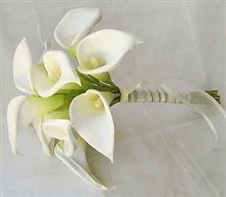 ΣΤΟΛΙΣΜΟ ΓΑΜΟΥ